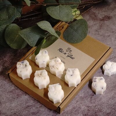 Peony And Oud Scented Botanical Wax Melts