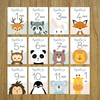 Baby milestone cards, month by month, animals