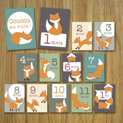 Baby milestone cards, month by month, fox