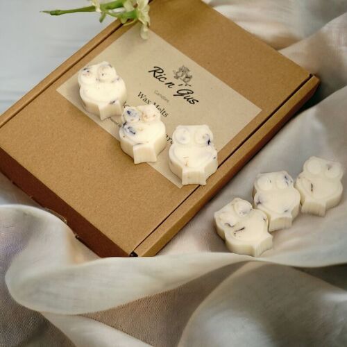 Welcome Spring Scented Botanical Wax Melts