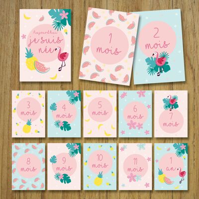 Baby milestone cards, month by month, flamingo, tropical