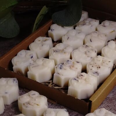 Fresh And Calm (Lemon + Lavender) Scented Botanical Wax Melts