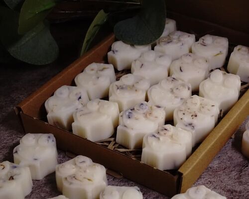 Tropical (Coconut + Lime) Scented Botanical Wax Melts