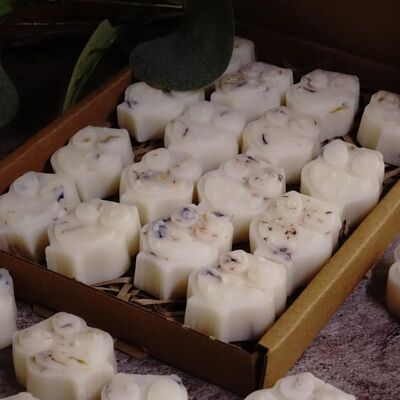 Tropical (Coconut + Lime) Scented Botanical Wax Melts