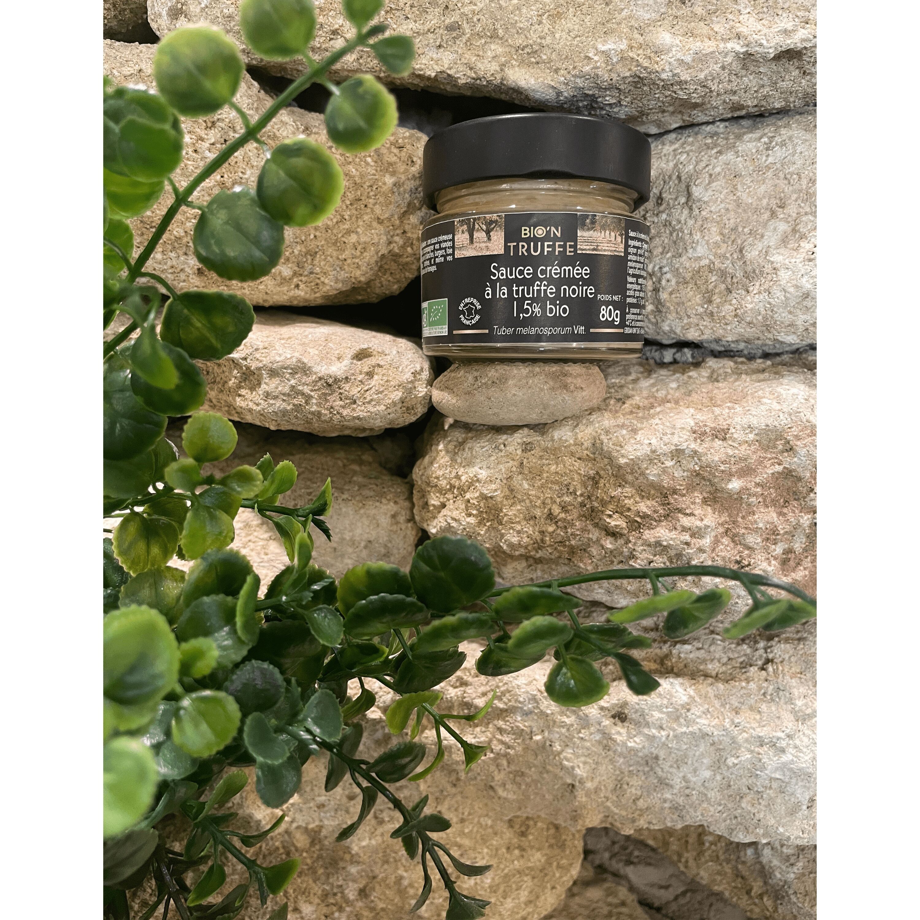 Sauce Crémée à la Truffe Noire 1,5% Bio 80G