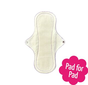Eco Femme Natural Organic Day Pad Plus 3