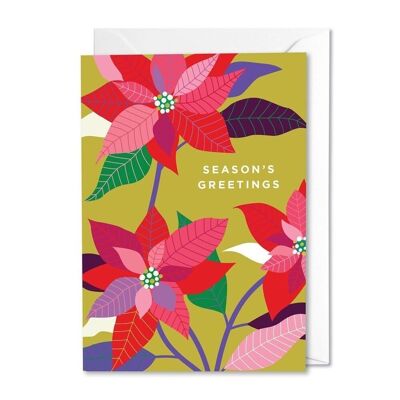 Tarjeta de Navidad de Poinsettia con consejos de crecimiento