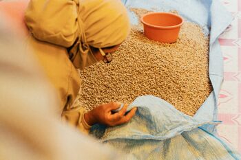 Café de spécialité - Bolivie - L'Aymara - Torref FONCEE 8