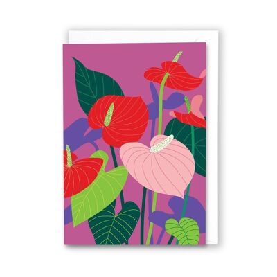 Tarjeta de Anthurium con consejos de cultivo