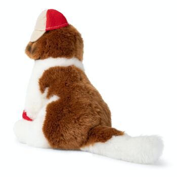 BTC - Herman le St Bernard - 32 cm 3