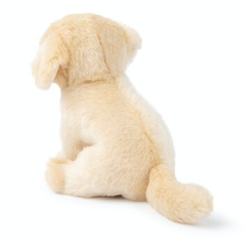 BTC - Loulou le Labrador - 20 cm 3