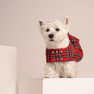 Cappotto scozzese per cani Dog