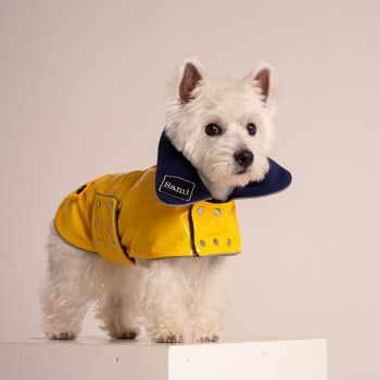 Manteau de chien en PVC 2