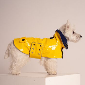 Manteau de chien en PVC 4