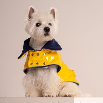 Manteau de chien en PVC 13