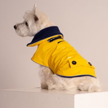 Manteau de chien en PVC 31