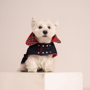 Manteau pour chien en jean 11