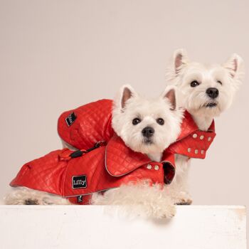 Manteau en similicuir pour chien 3