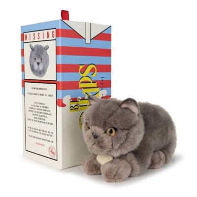 BTC - Freddy le Brittish Shorthair en boîte cadeau - 20 cm