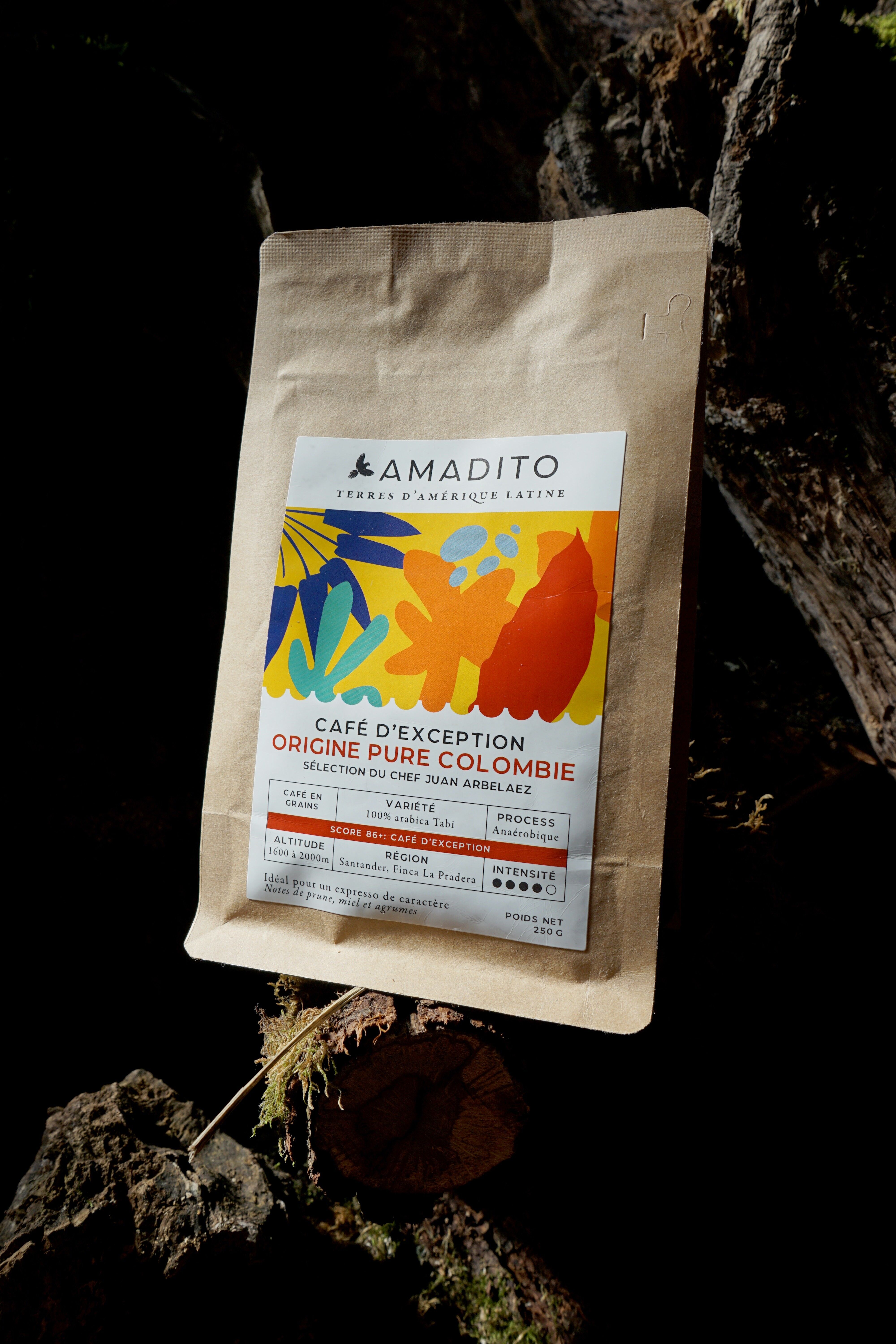 Café de spécialité BIO Colombie 250g Grains