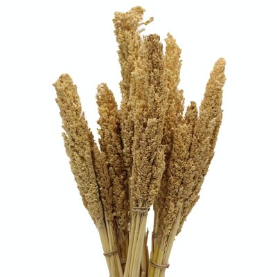 CGB-01 - Cantal Grass Bunch - Natural - Sold in 6x unit/s per outer