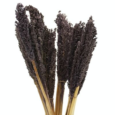 CGB-10 - Cantal Grass Bunch - Black - Sold in 6x unit/s per outer