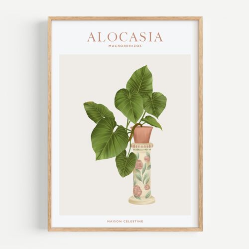 Affiche "House Plants" Alocasia