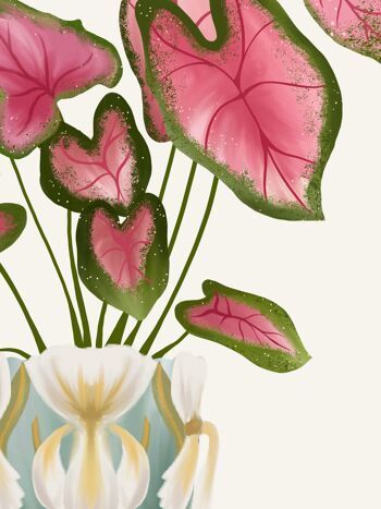 Affiche "House Plants" Caladium 5