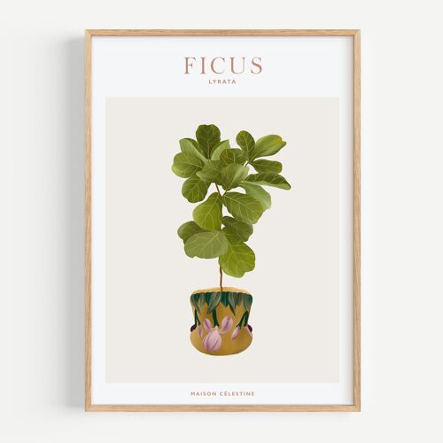 Affiche "House Plants" Ficus Lyrata