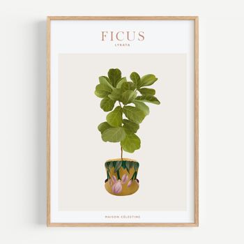Affiche "House Plants" Ficus Lyrata 1