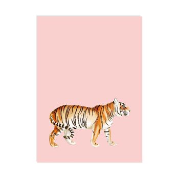 Carte Postale Tigre 1