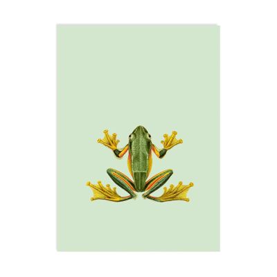 Postkarte Frog