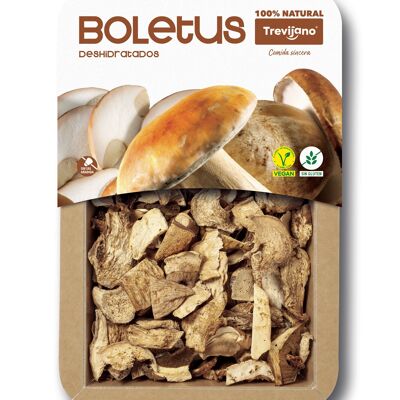 Boletus TREVIJANO - Bandeja 40g