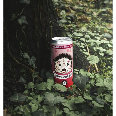 R-KOMBUCHA - Raspberry & Lime - 33cl can