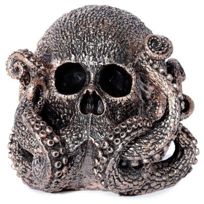 Bronze Skull Octopus
