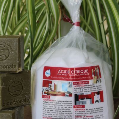 Citric acid - Sachet - 1 kg