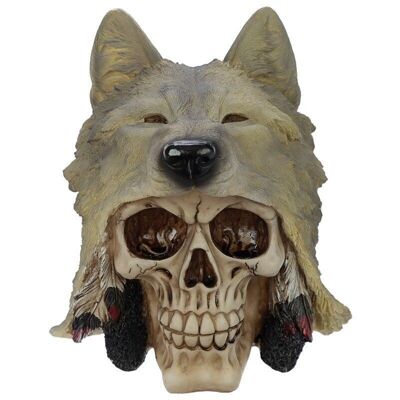 Skull with Wolf Head Decoration