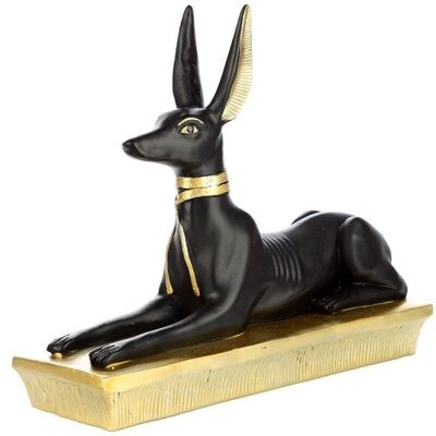 Anubis Laying