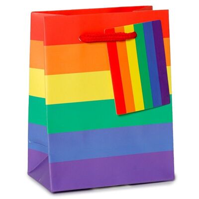 Somewhere Rainbow Gift Bag Small