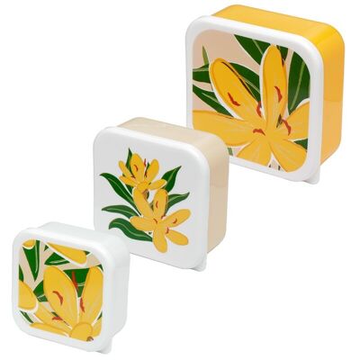 Set of 3 Lunch Box M/L/XL Florens Hesperantha