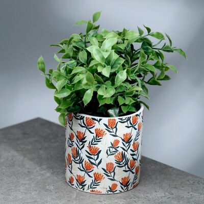 Protea Pick of the Bunch Vaso per piante da interno in ceramica grande
