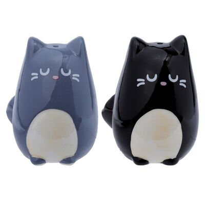 Feline Fine Juego de salero y pimentero de cerámica con gatos negros y grises