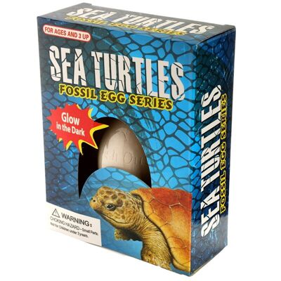 Glow in the Dark Sea Turtle Dig It Out Kit