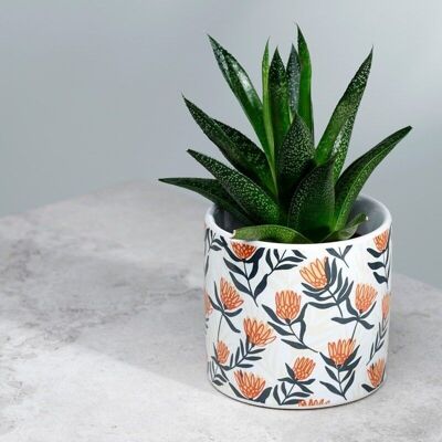 Protea Pick of the Bunch Ceramic Indoor Plant Pot Small