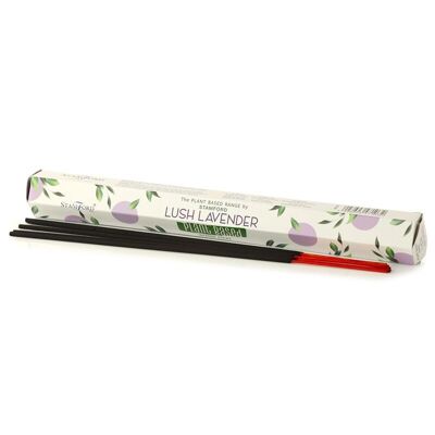 46103 Stamford Plant Based Hex Incense Sticks Lush Lavender