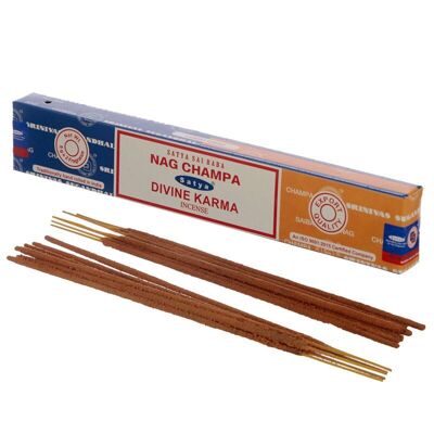 01311 Satya Nag Champa & Divine Karma Incense Sticks