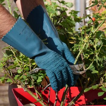 Gants de jardinage longs, taille des rosiers et petits épineux en latex épais-couleur bleu pétrole PROTECTMAX-Taille 8 7