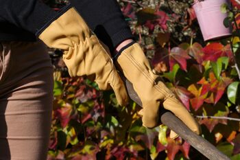 Gants de jardinage en cuir 100% tanné en France résistant à l'humidité- couleur paille-TRADITION-Taille 06 4