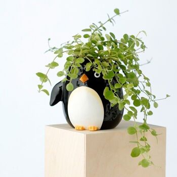 Jardinière/pot de fleurs en céramique en forme de pingouin Huddle 2