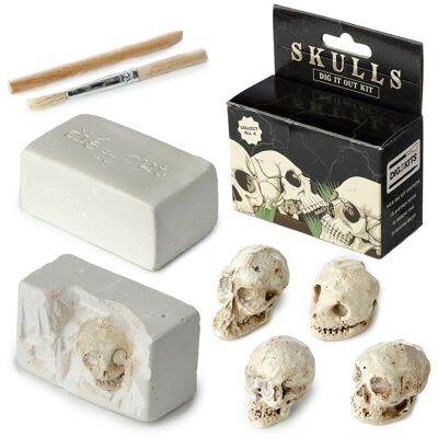 Kit de excavación de cráneo humano Dig-A-Saurs